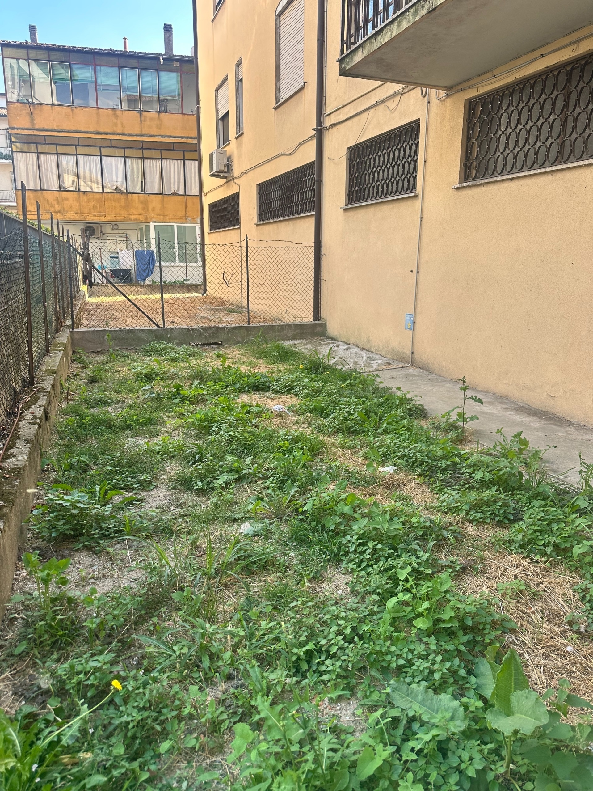 Magazzino con giardino a Rovigo