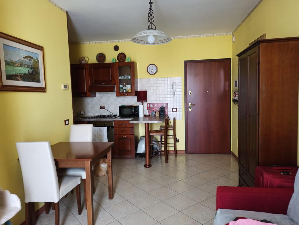 Trilocale in affitto in via giotto 88, Rovigo