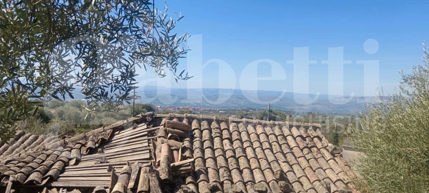 Terreno Agricolo in vendita a Santa Maria di Licodia