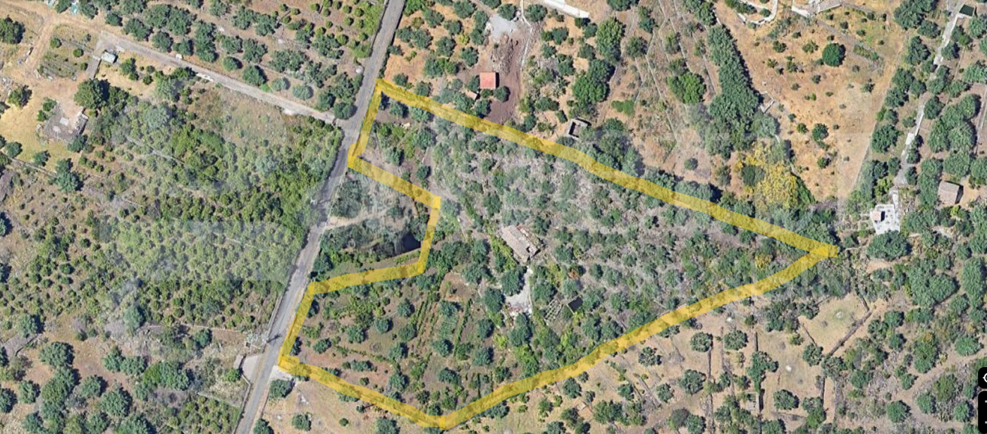 Terreno Agricolo in vendita a Santa Maria di Licodia