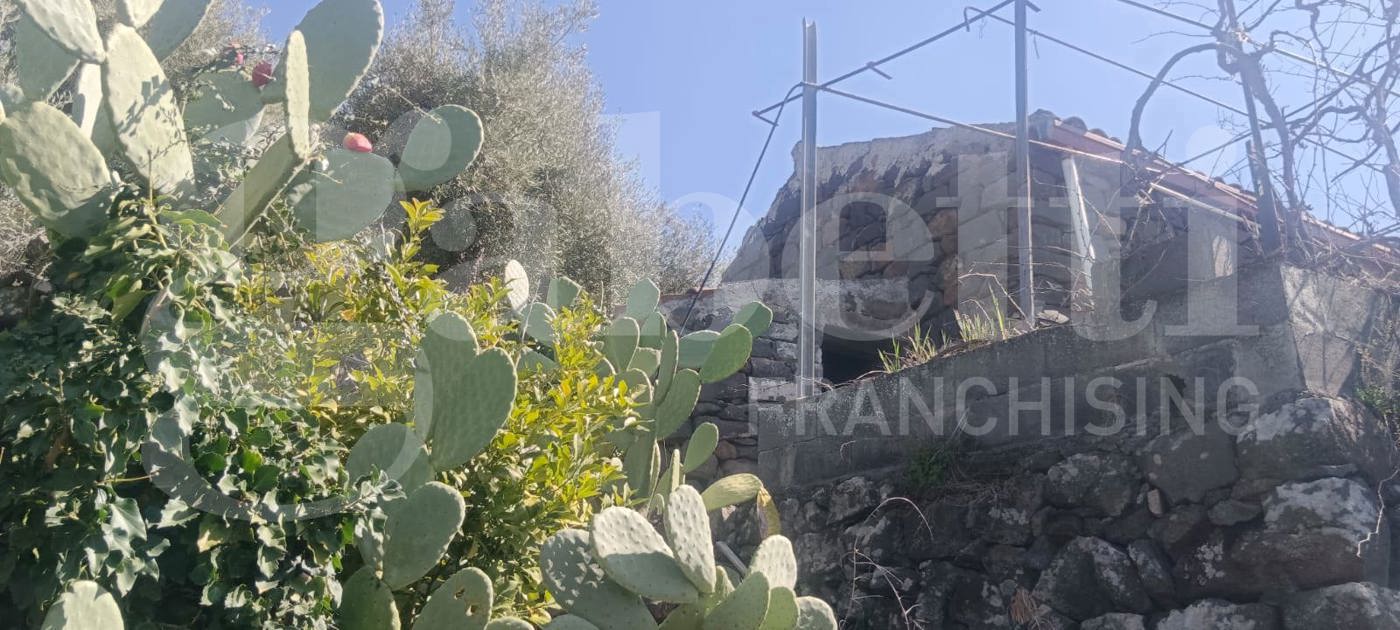 Terreno Agricolo in vendita a Santa Maria di Licodia