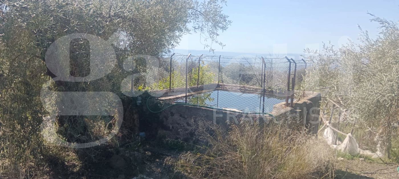 Terreno Agricolo in vendita a Santa Maria di Licodia