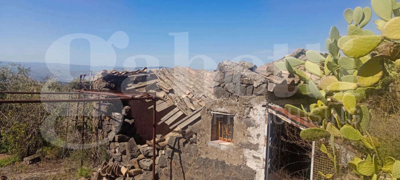 Terreno Agricolo in vendita a Santa Maria di Licodia