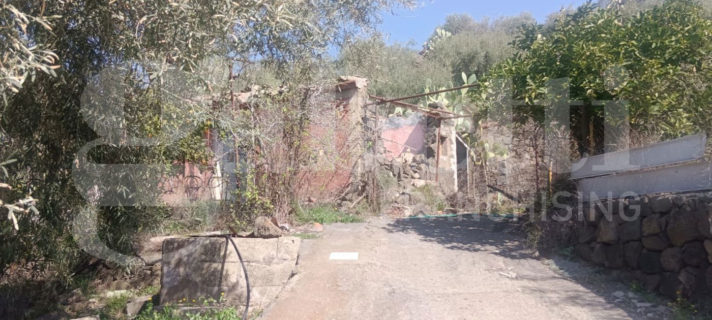 Terreno Agricolo in vendita a Santa Maria di Licodia