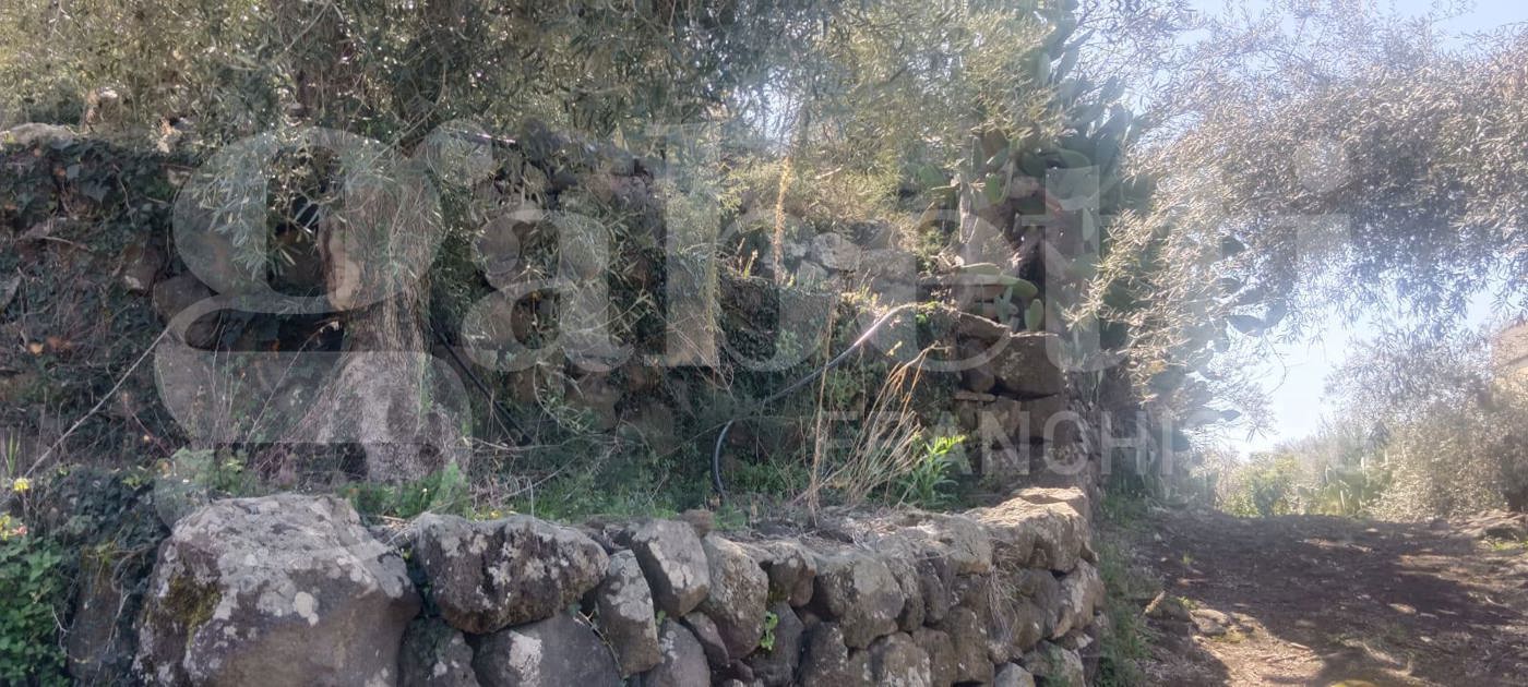 Terreno Agricolo in vendita a Santa Maria di Licodia