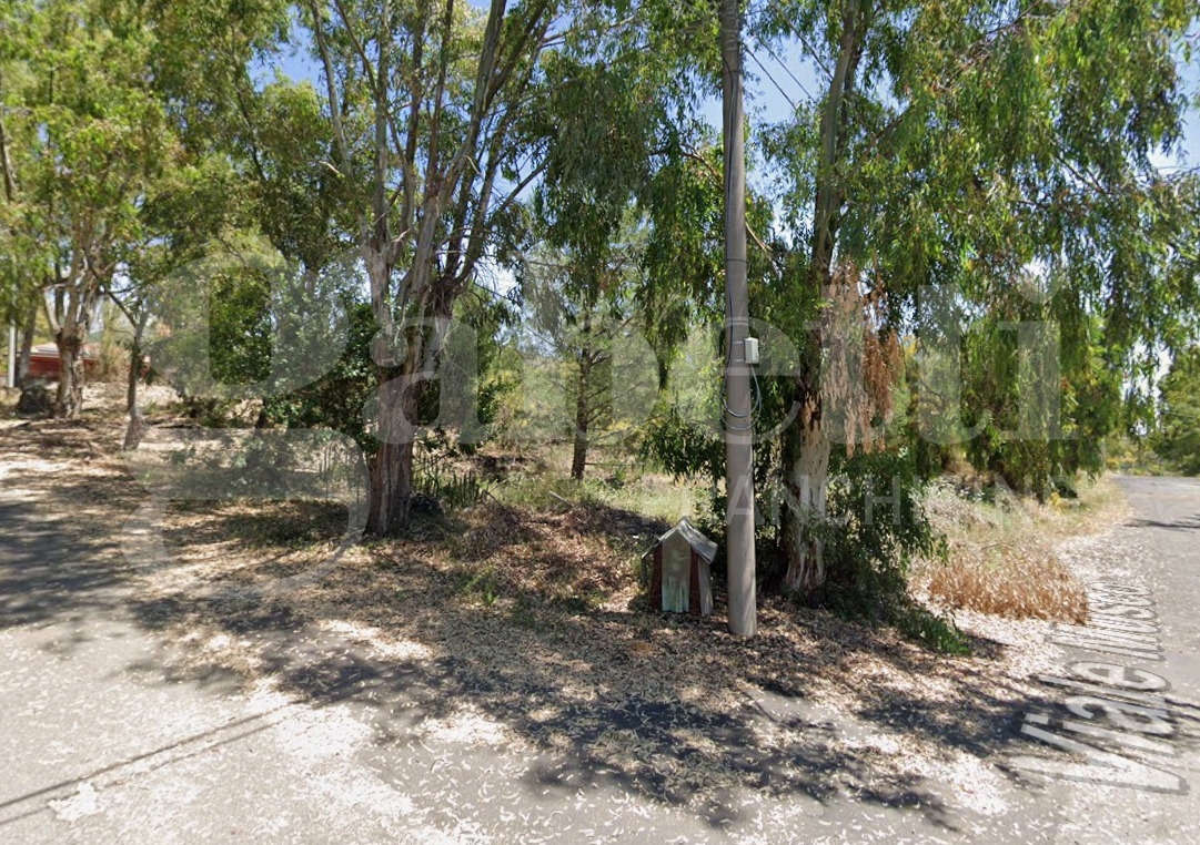 Terreno Agricolo in vendita a Belpasso