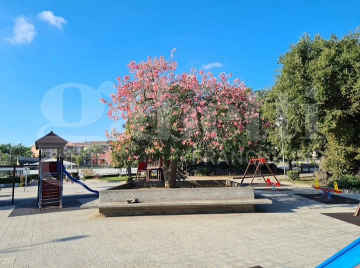 Trilocale in affitto a Aci Catena