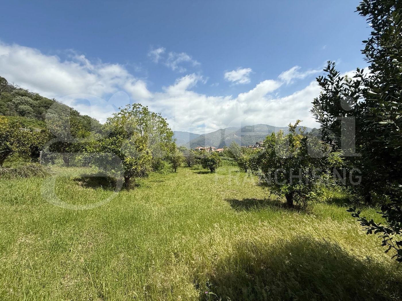 Villa in vendita a Francavilla di Sicilia