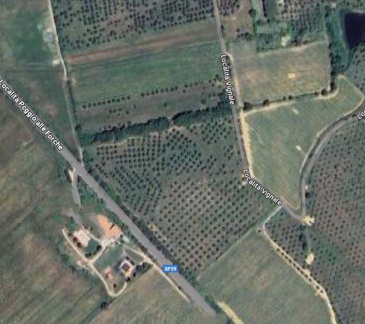 Terreno Agricolo in vendita a Piombino, Riotorto