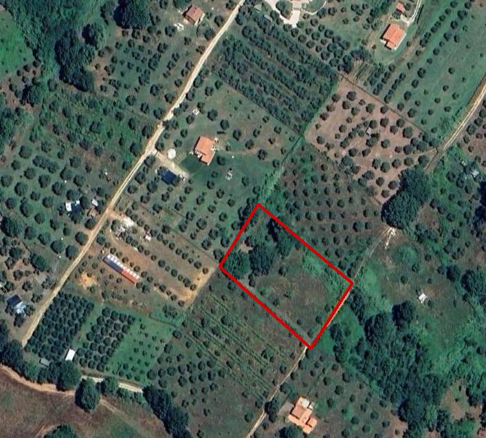 Casa singola in vendita a Manciano