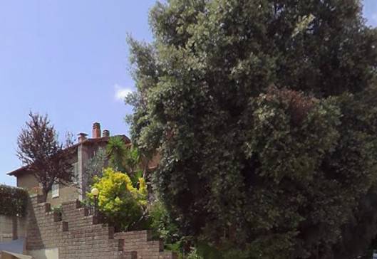 Casa singola in vendita a Grosseto, Istia d'Ombrone