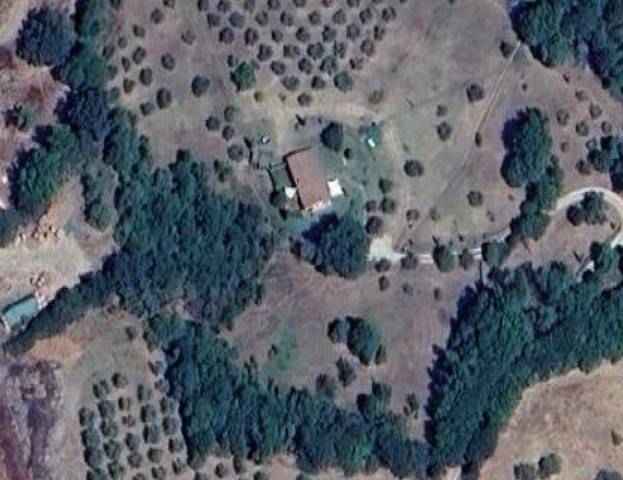 Casa singola in vendita a Campagnatico