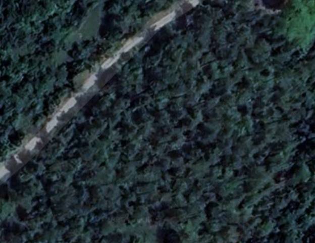 Annesso Agricolo in vendita a Piancastagnaio