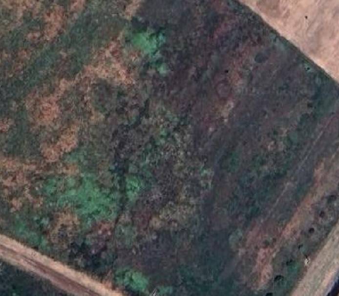 Terreno Agricolo in vendita a Campiglia Marittima, Venturina