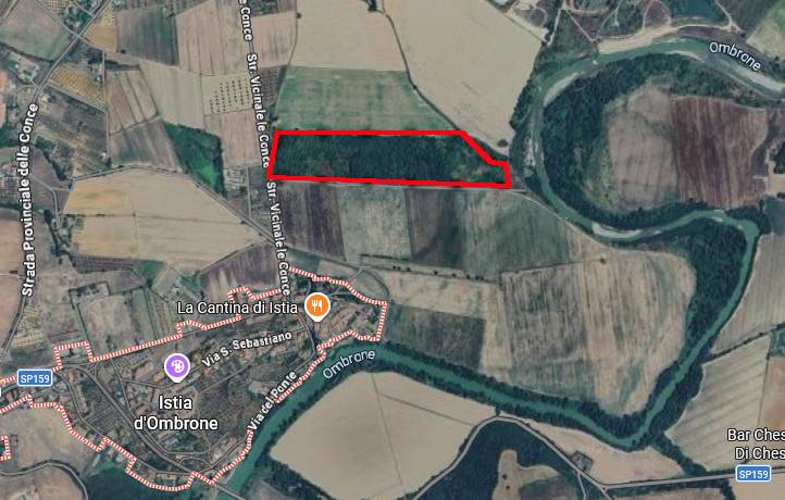 Terreno Agricolo in vendita a Grosseto, Istia d'Ombrone