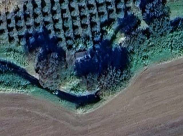 Terreno Agricolo in vendita a Bibbona