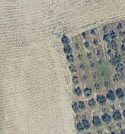 Terreno Agricolo in vendita a Collesalvetti