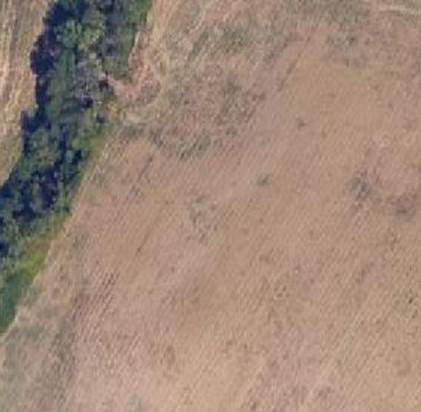 Terreno Agricolo in vendita a Poggibonsi