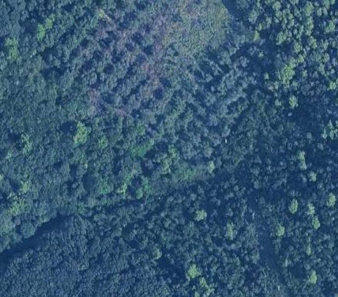Terreno Agricolo in vendita a Rosignano Marittimo