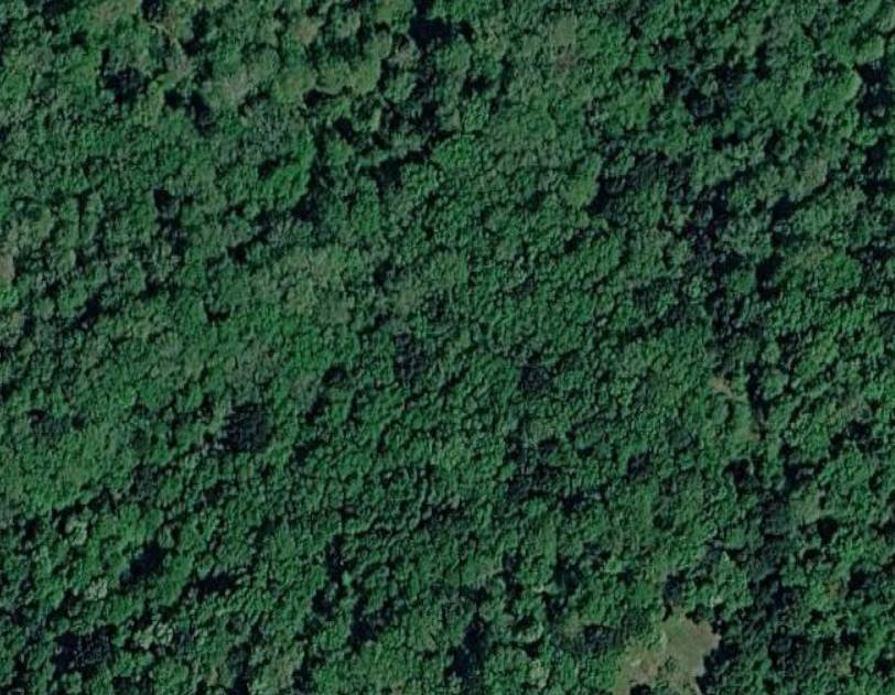 Terreno Agricolo in vendita a Rapolano Terme