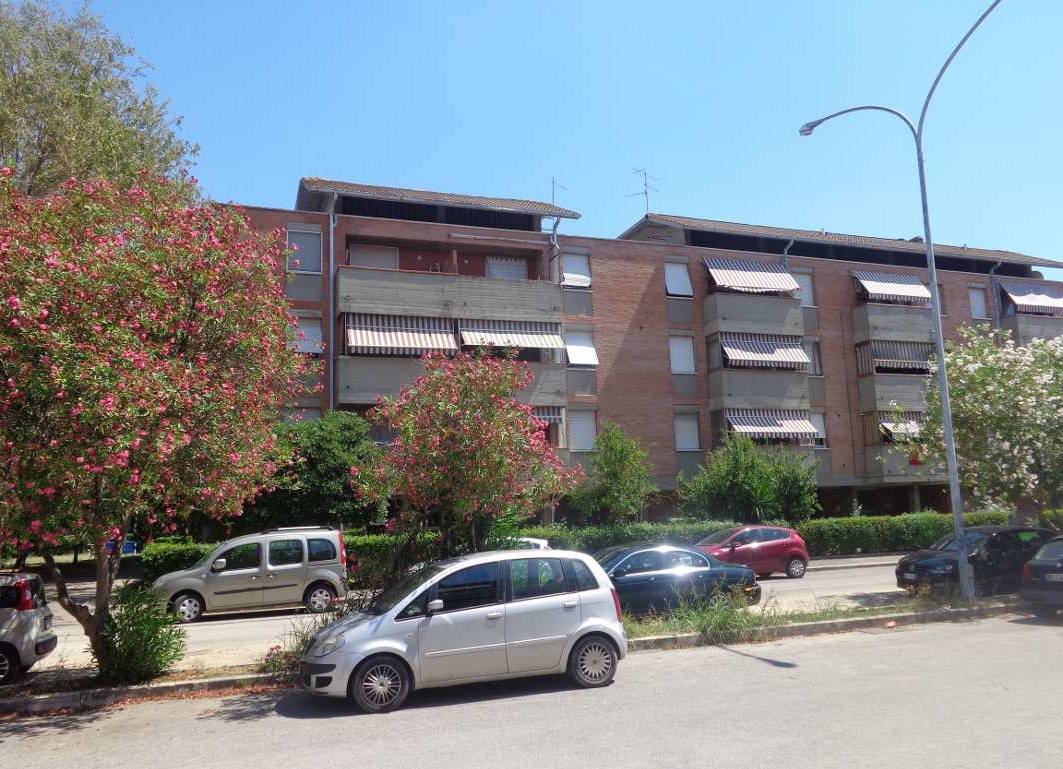 Appartamento in affitto a Grosseto