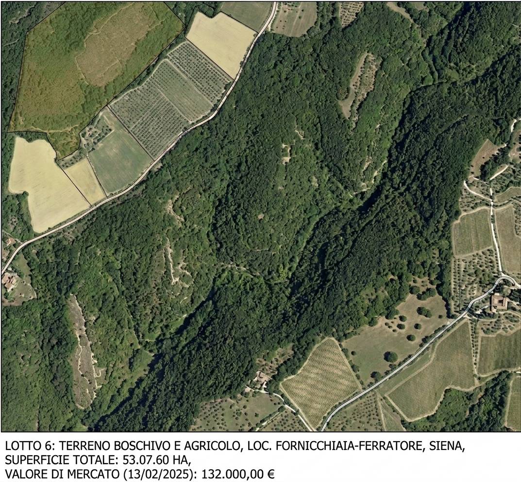 Terreno Agricolo in vendita a Siena