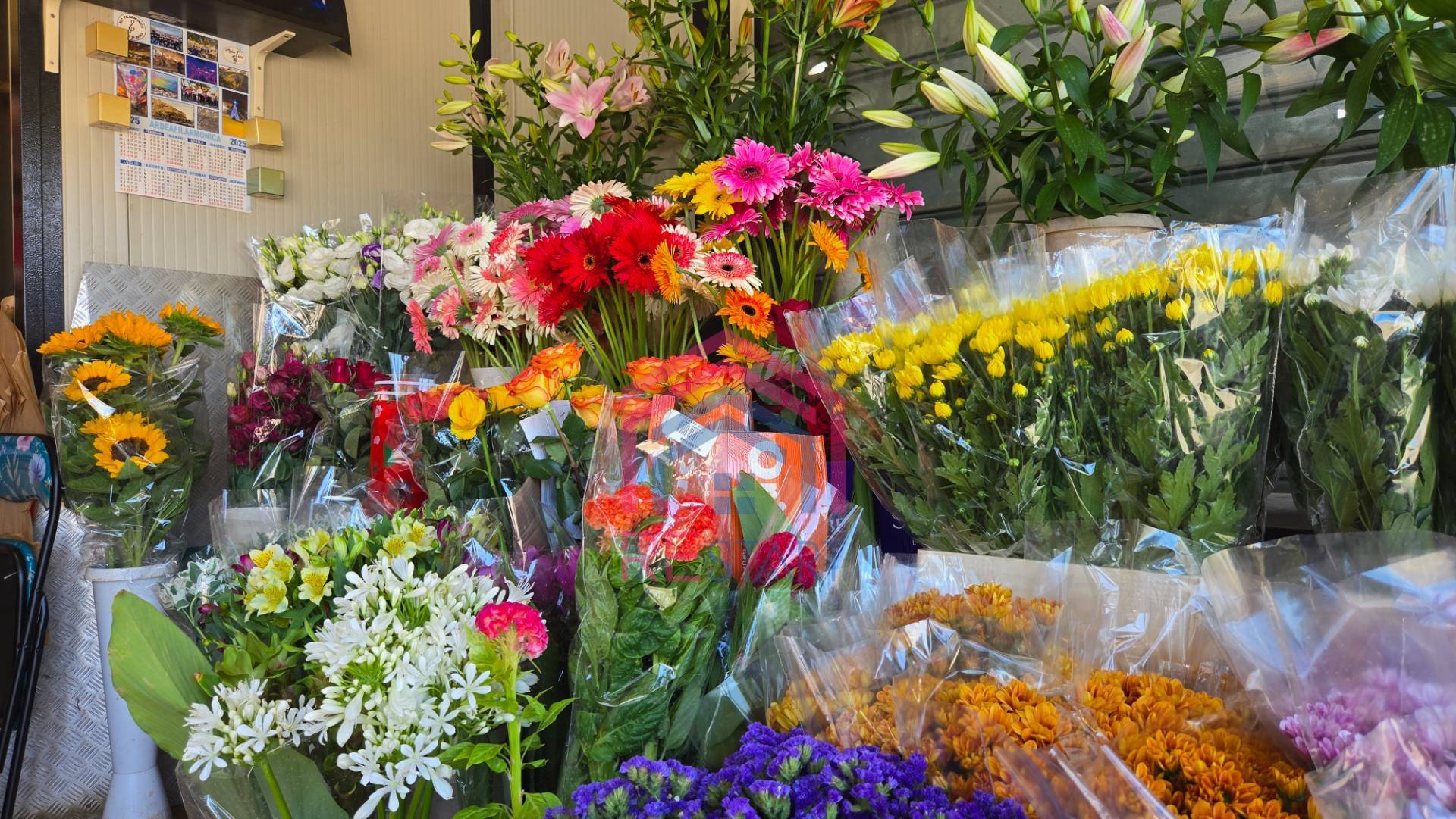 Attivit commerciale in vendita a Ardea