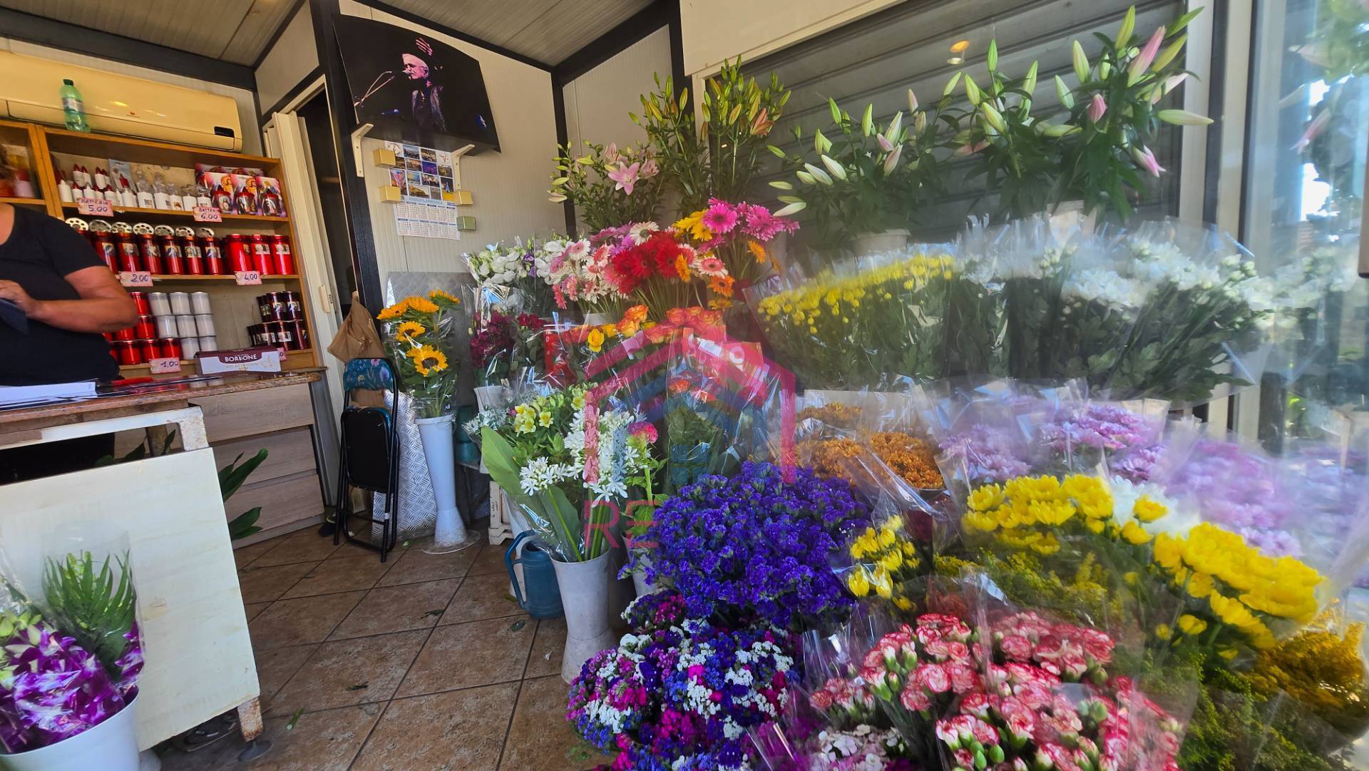 Attivit commerciale in vendita a Ardea