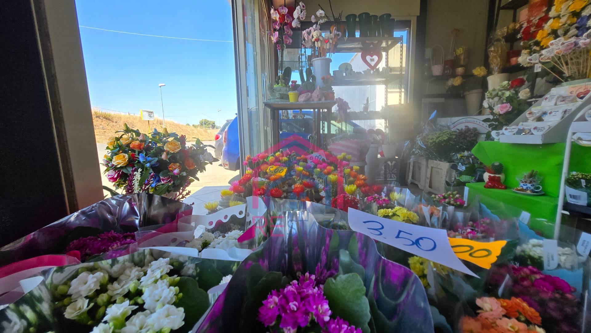 Attivit commerciale in vendita a Ardea