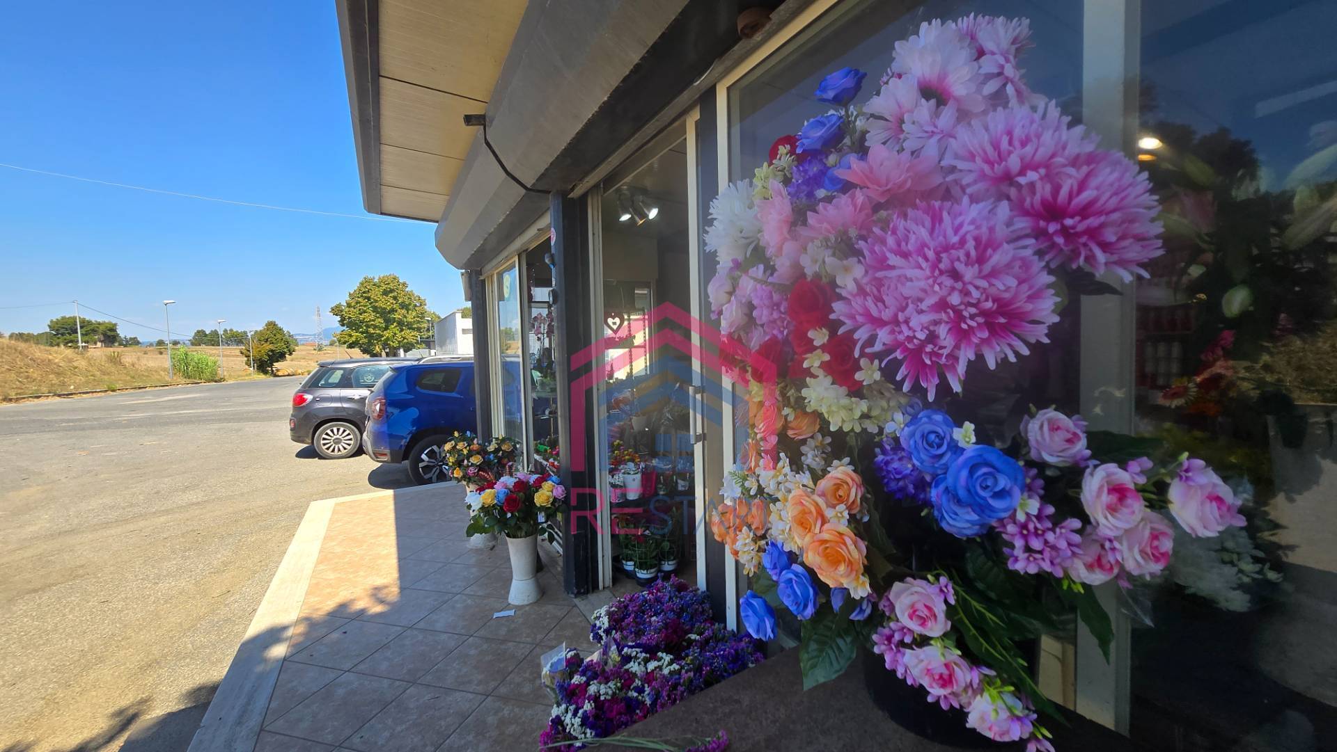 Attivit commerciale in vendita a Ardea