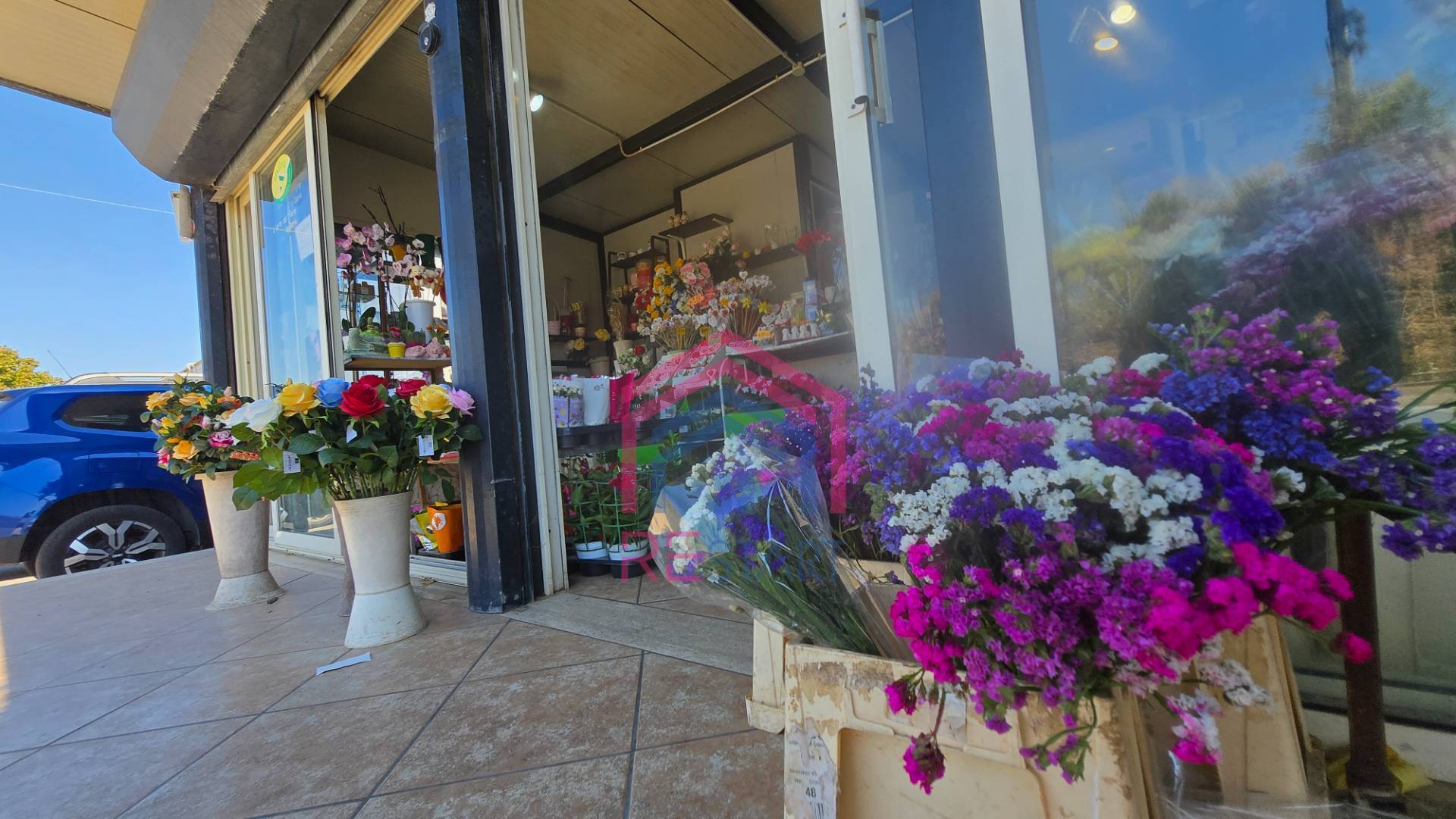 Attivit commerciale in vendita a Ardea