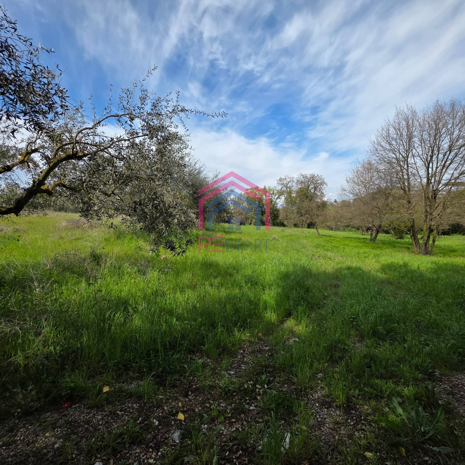 Terreno Agricolo in vendita a Pomezia