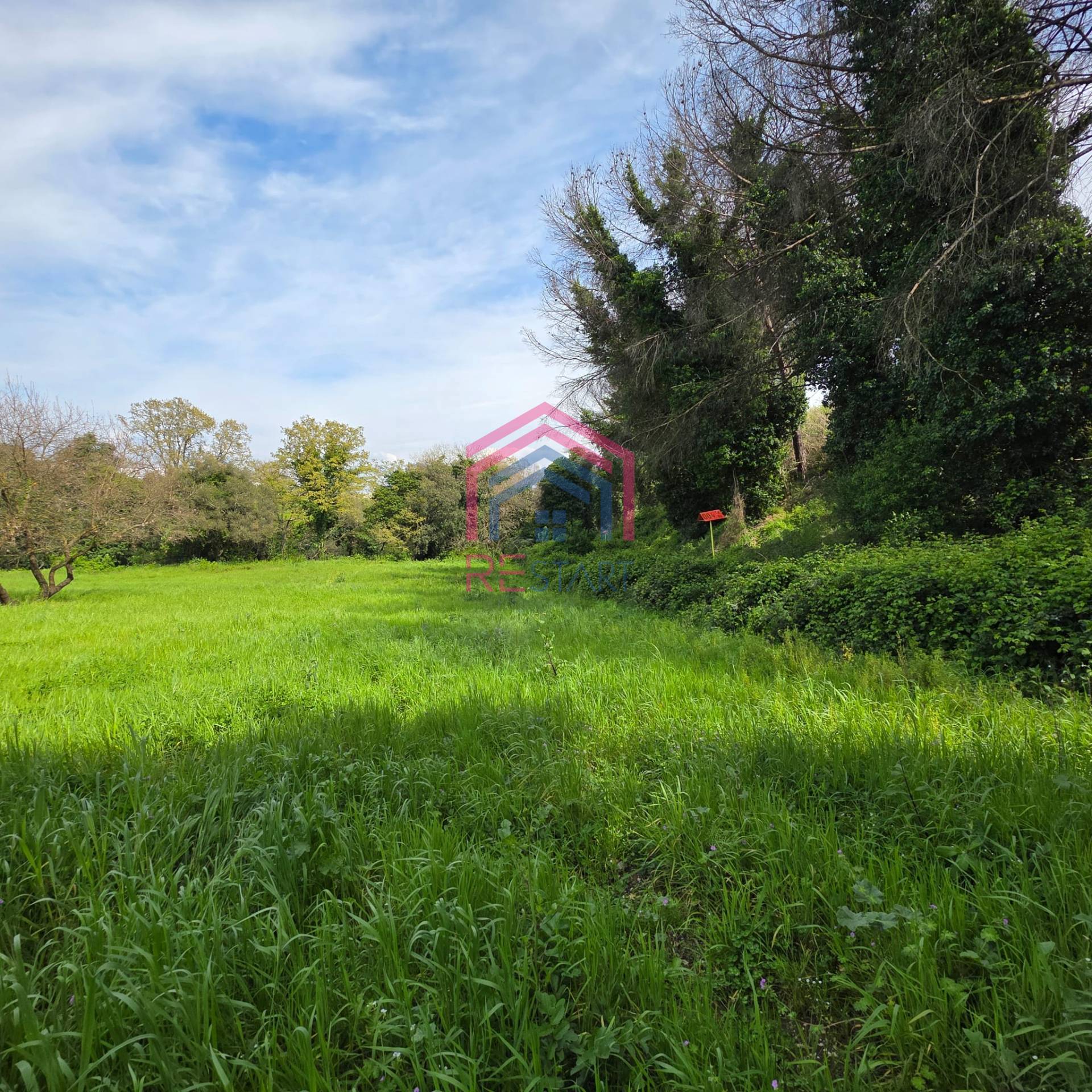 Terreno Agricolo in vendita a Pomezia