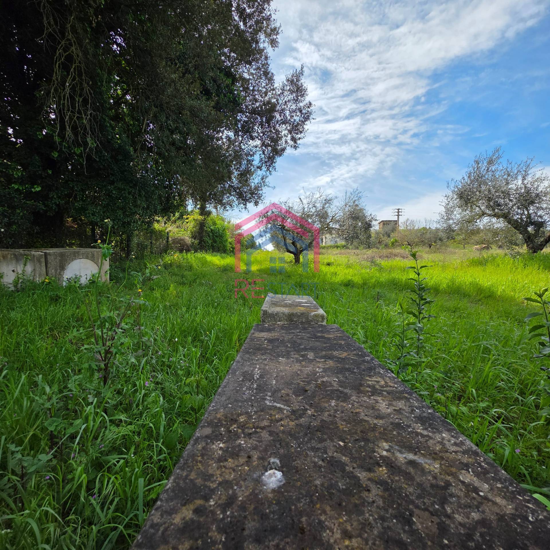Terreno Agricolo in vendita a Pomezia