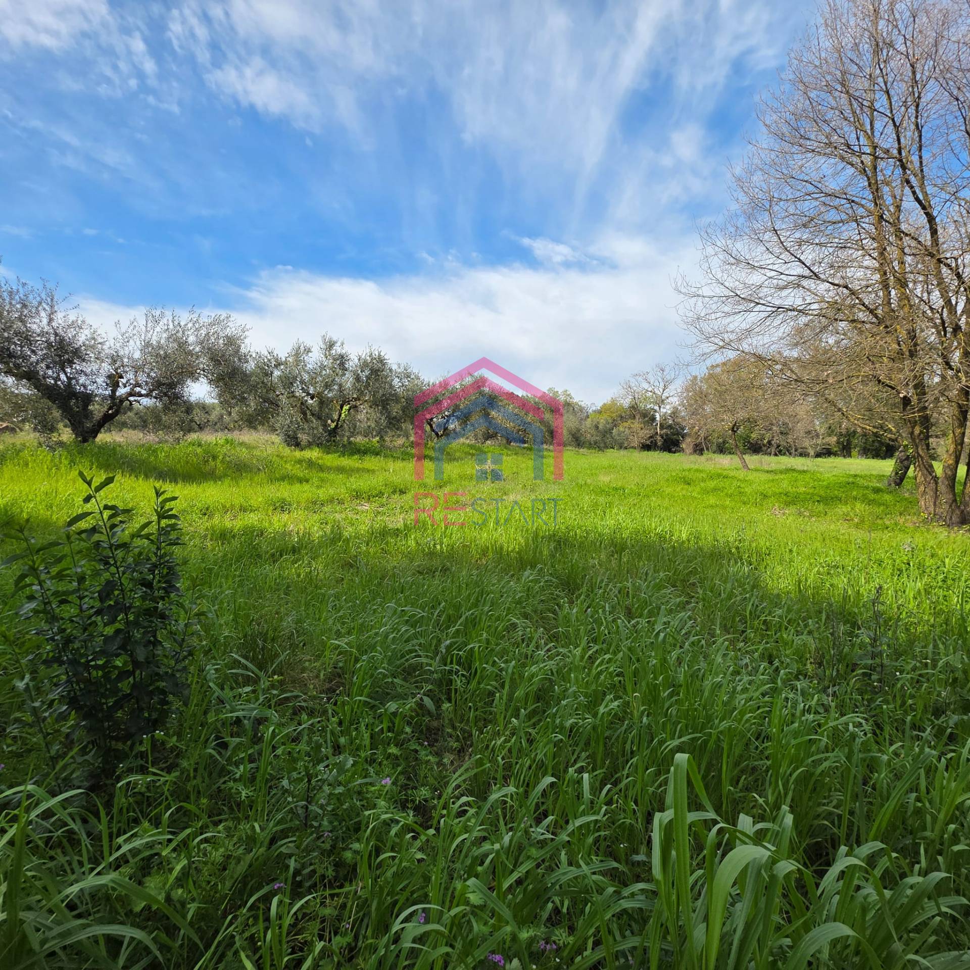Terreno Agricolo in vendita a Pomezia