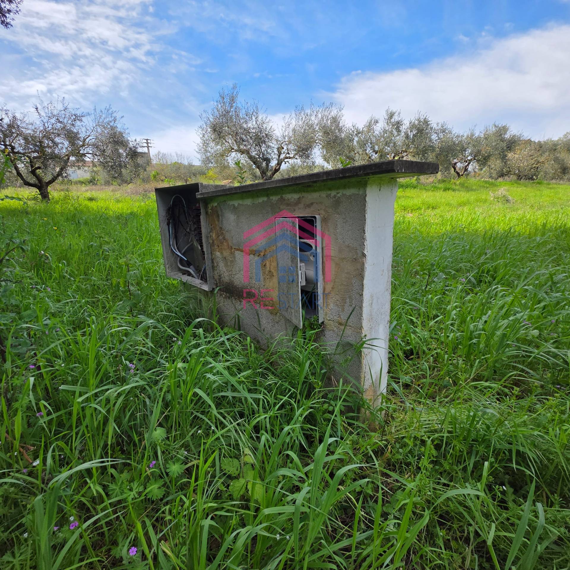Terreno Agricolo in vendita a Pomezia