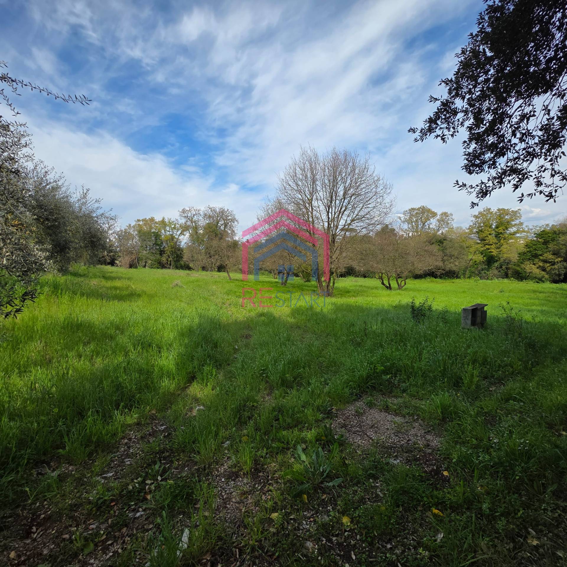 Terreno Agricolo in vendita a Pomezia