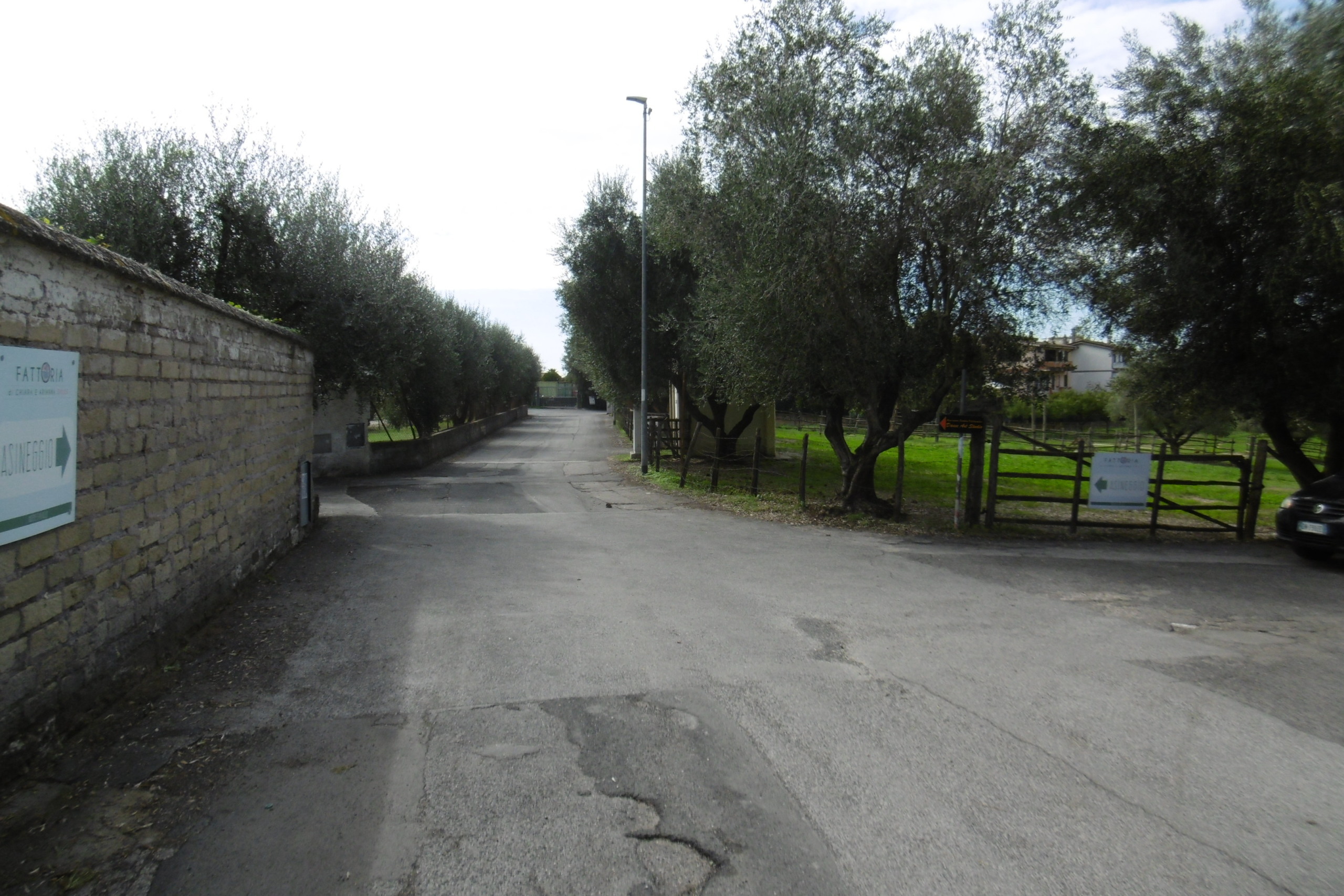 Terreno Industriale in vendita in via dei guinigi, Roma