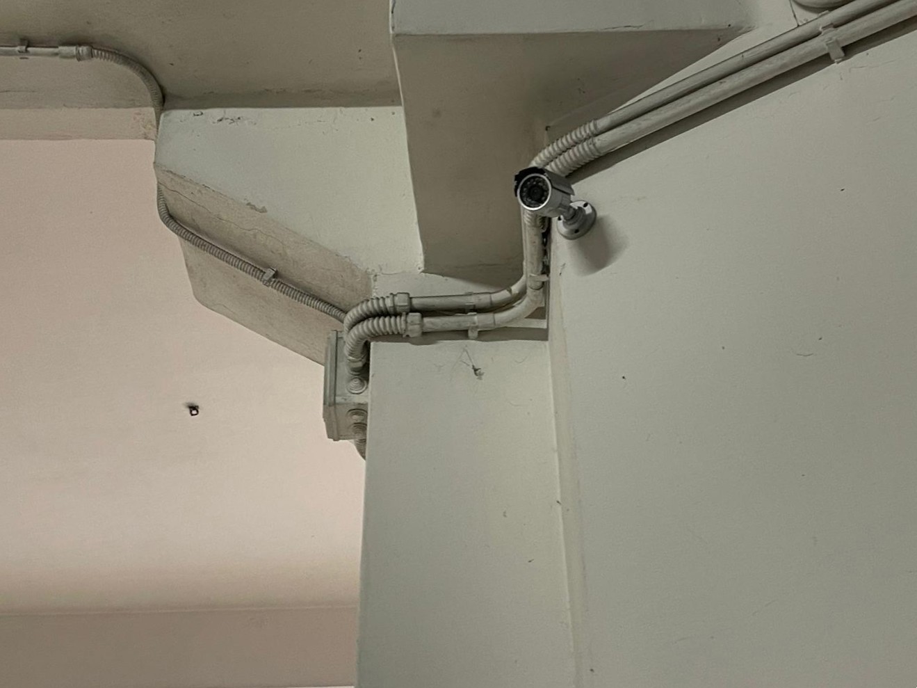 Box/Garage 25mq in vendita a Palermo