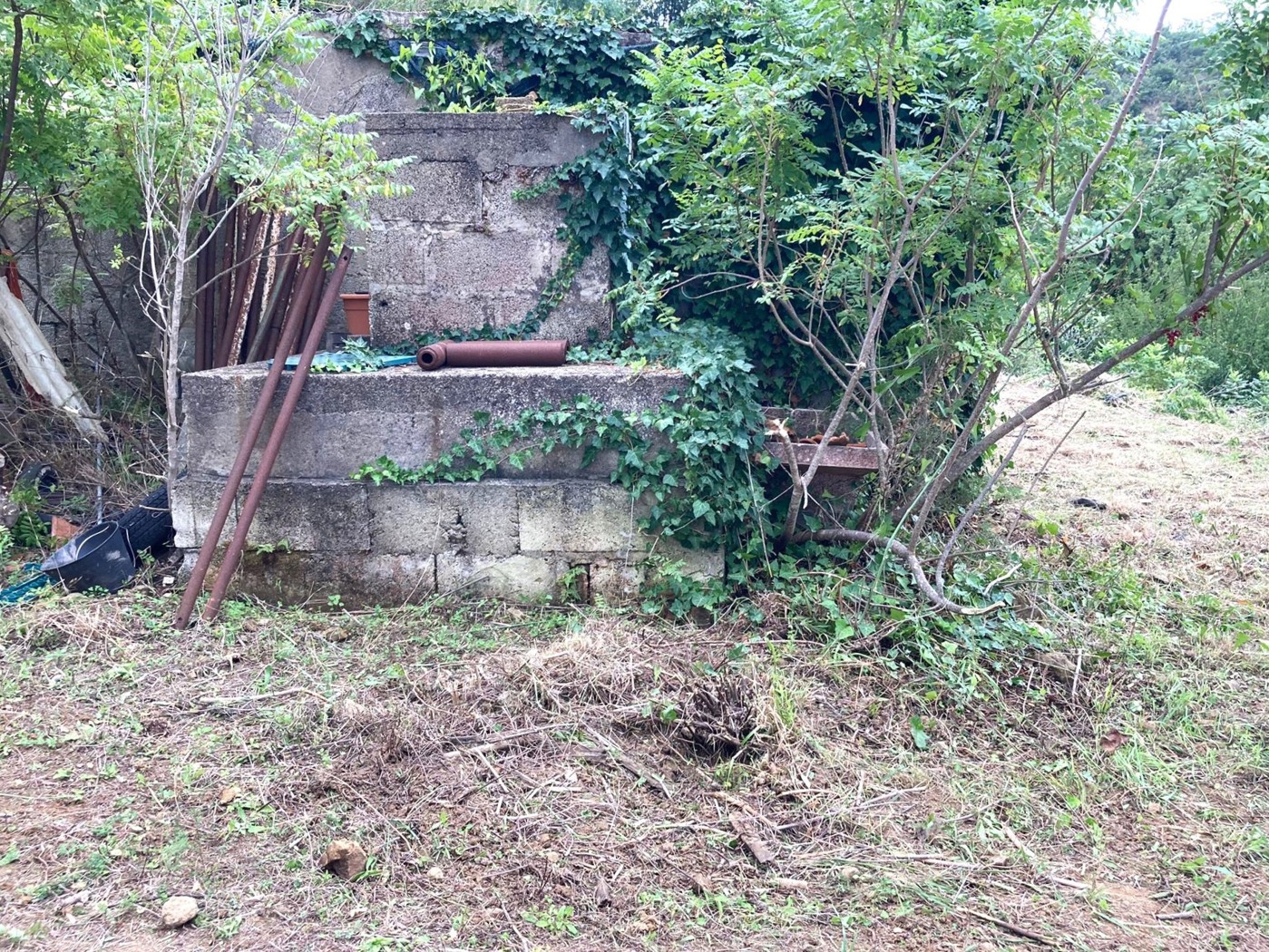 Rustico con giardino a Cefal�