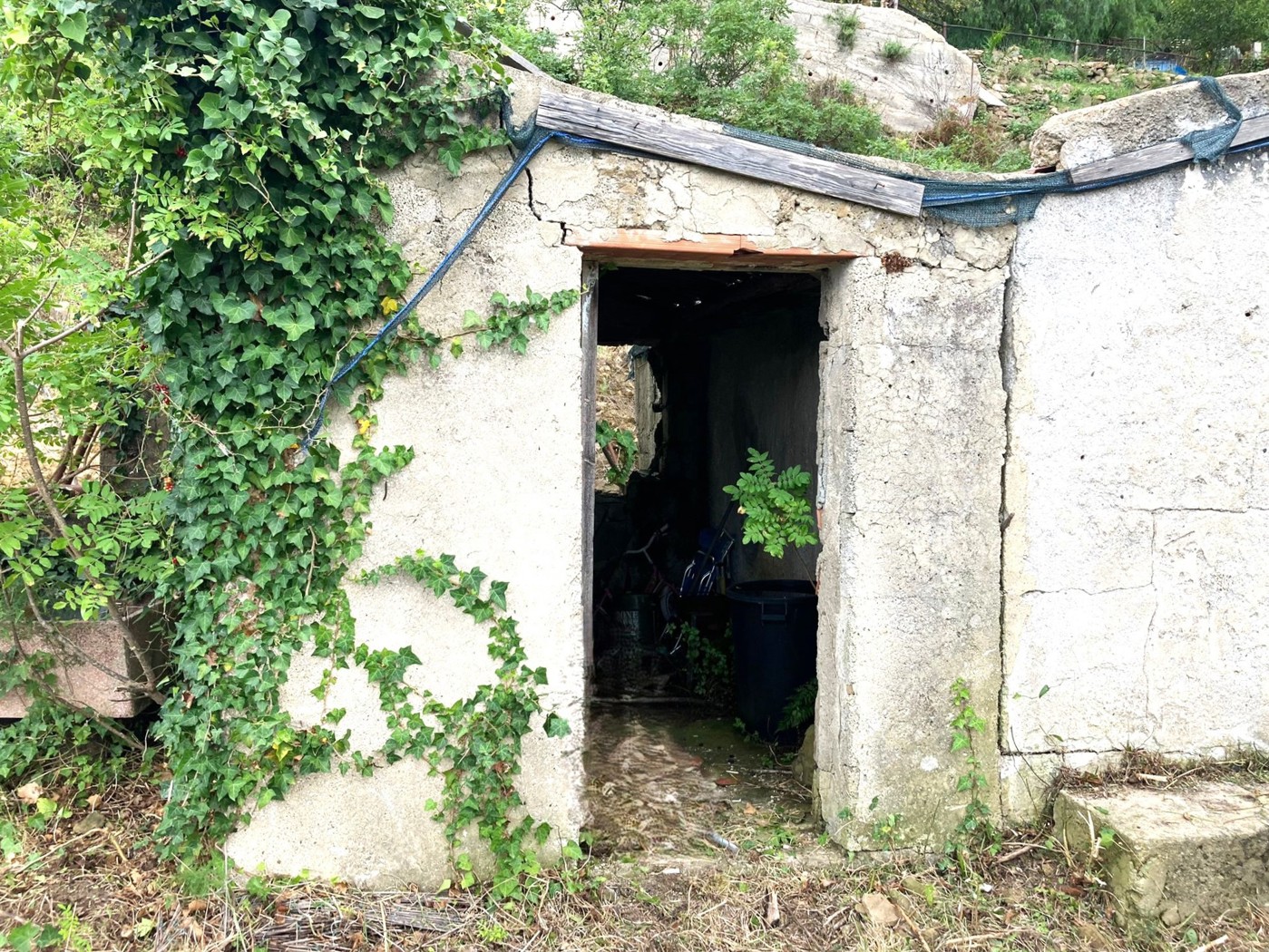 Rustico con giardino a Cefal�