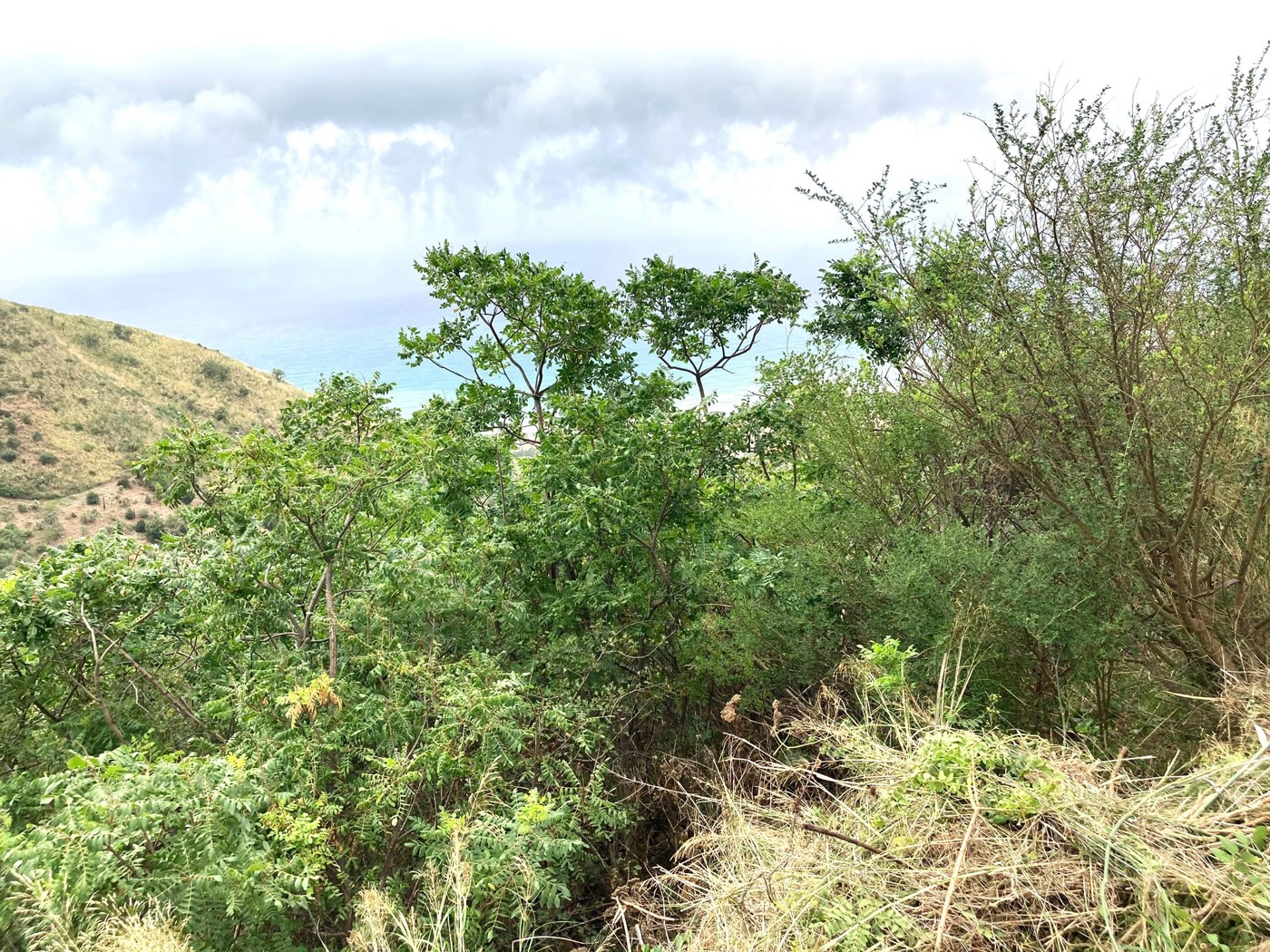 Rustico con giardino a Cefal�