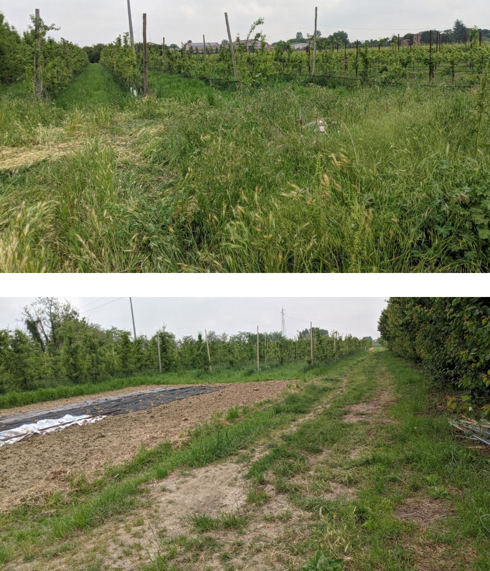 Appartamento in vendita a Spilamberto