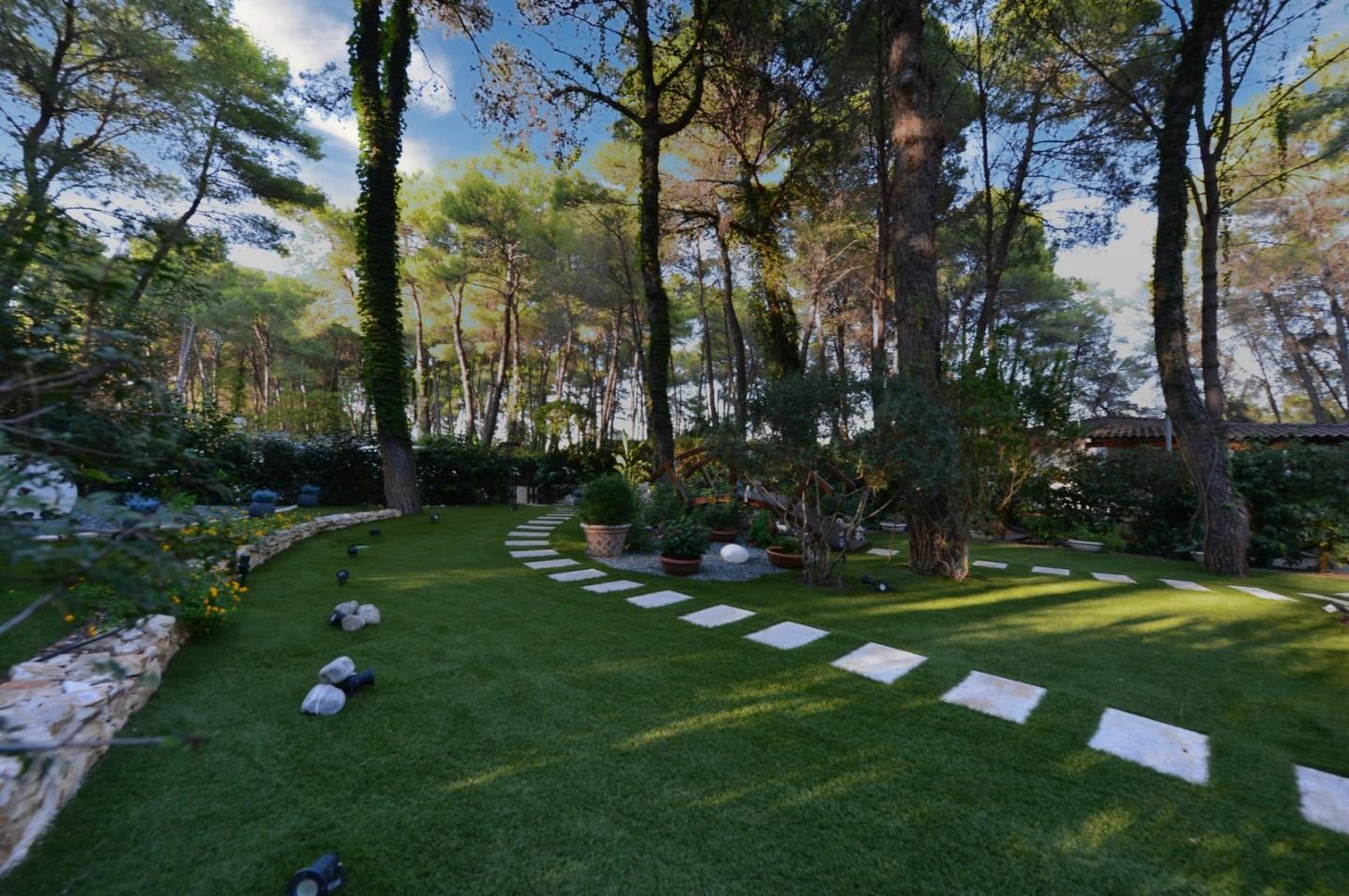 immagine annuncio 2 di 6