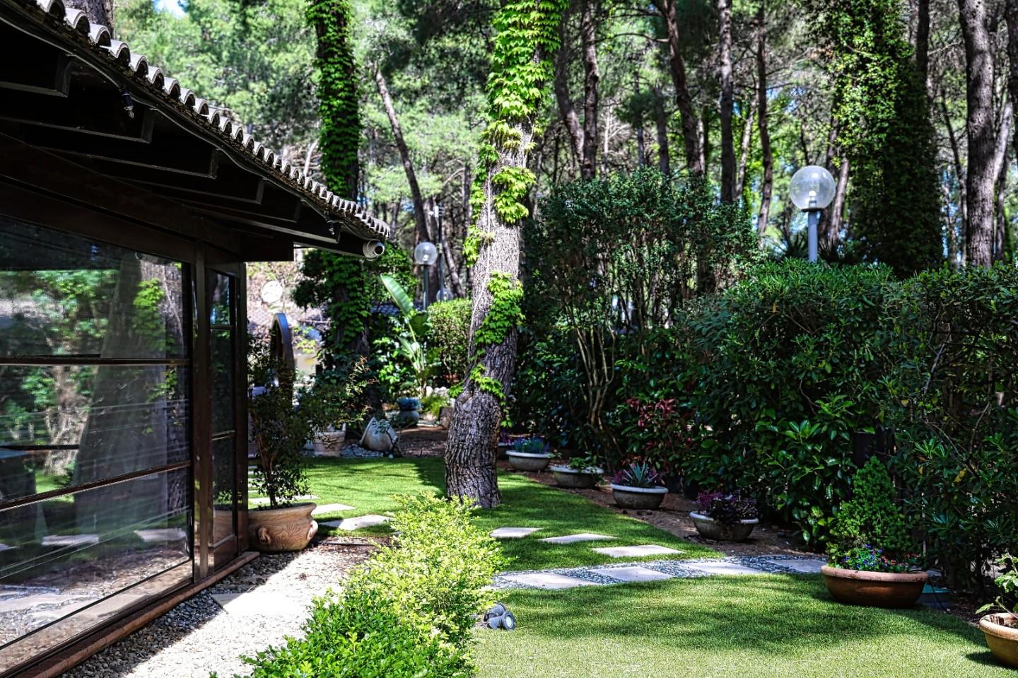 immagine annuncio 4 di 6