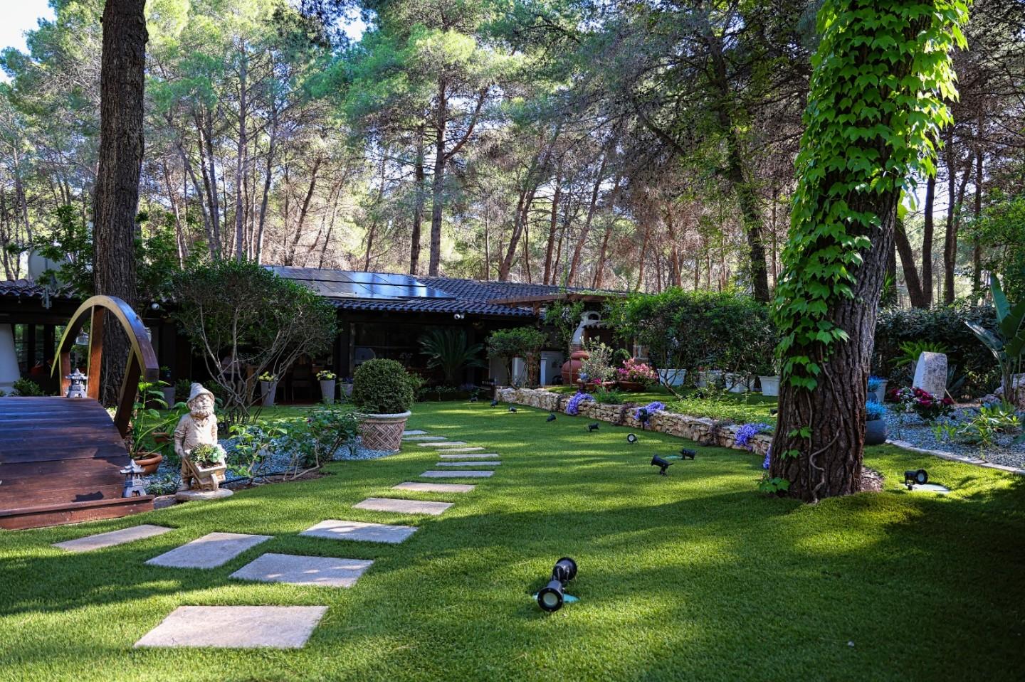 immagine annuncio 5 di 6