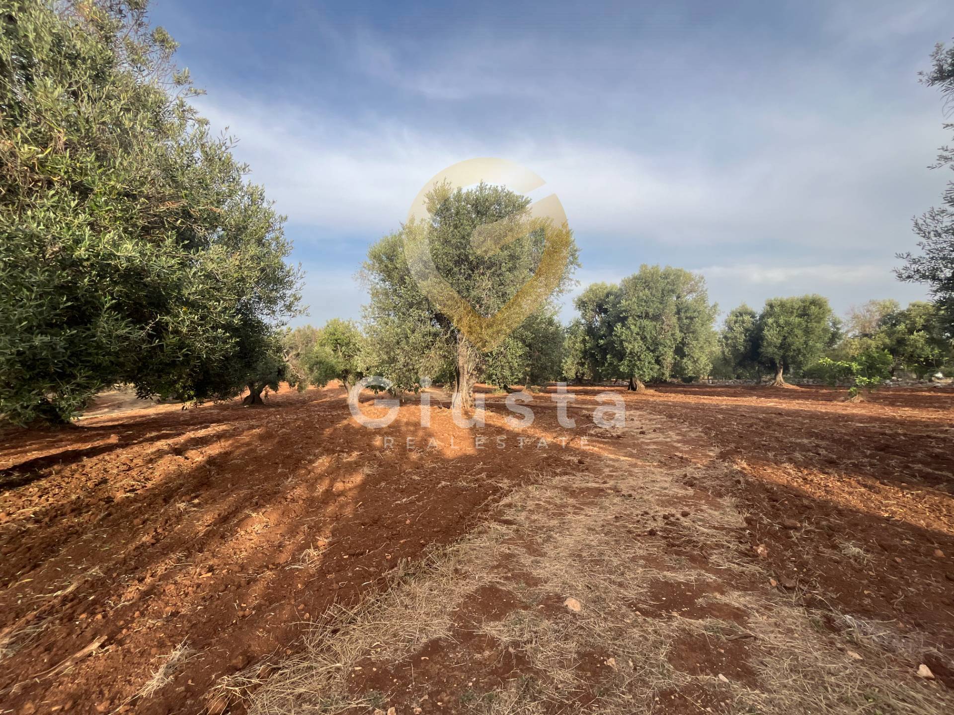 trullo in vendita a Ceglie Messapica