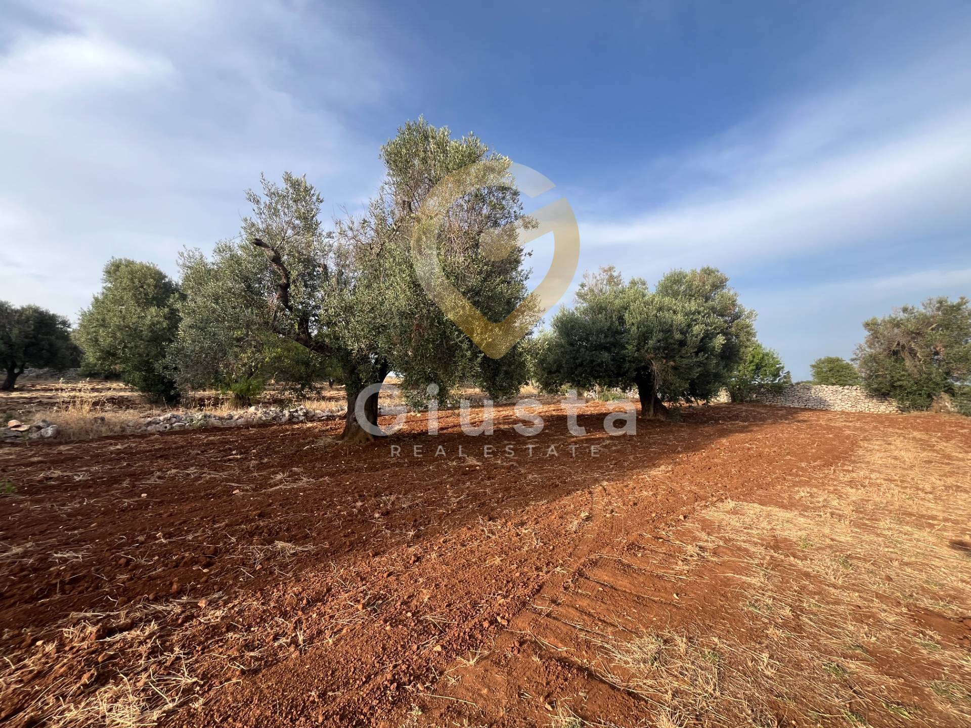 trullo in vendita a Ceglie Messapica