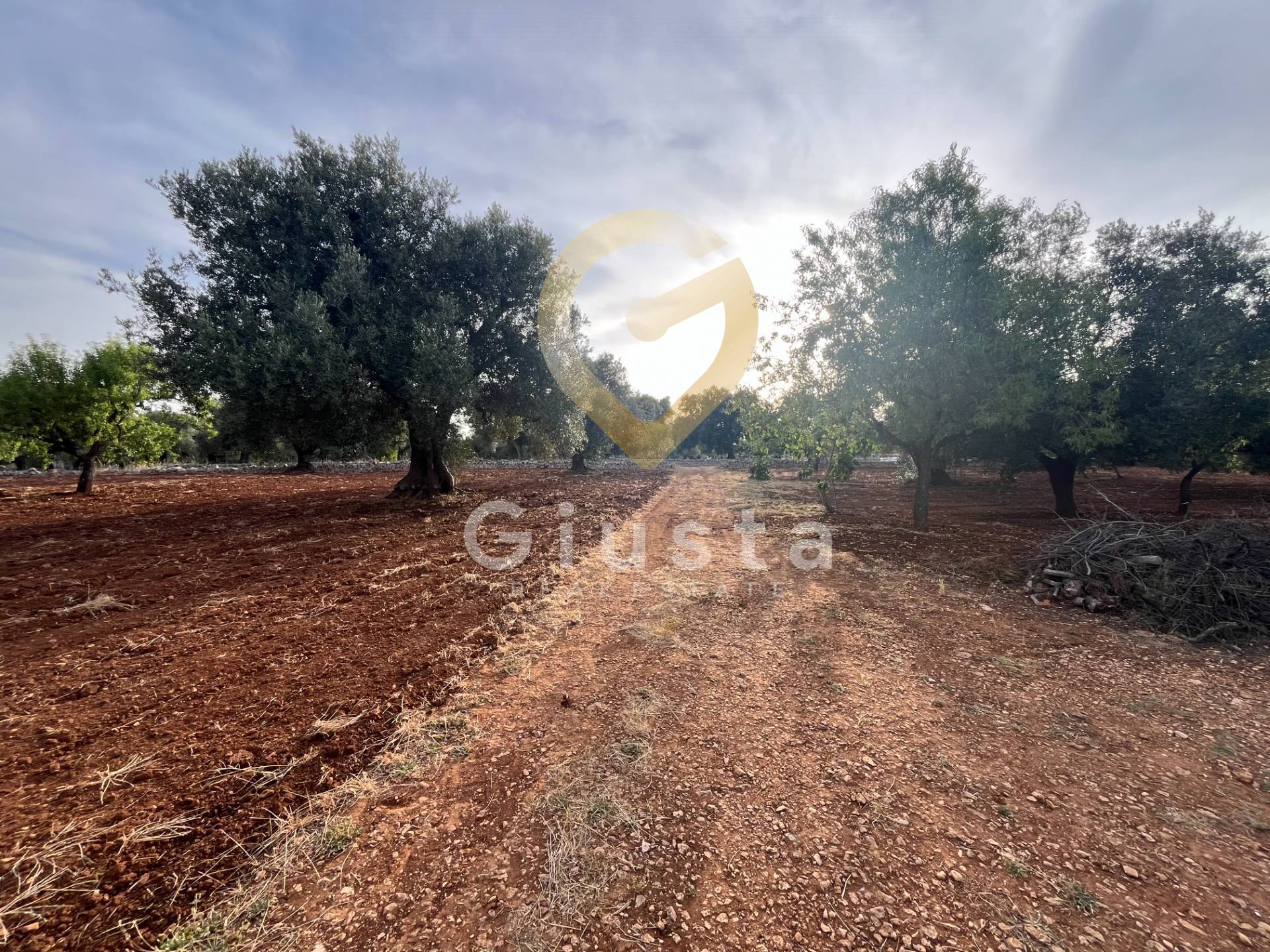 trullo in vendita a Ceglie Messapica