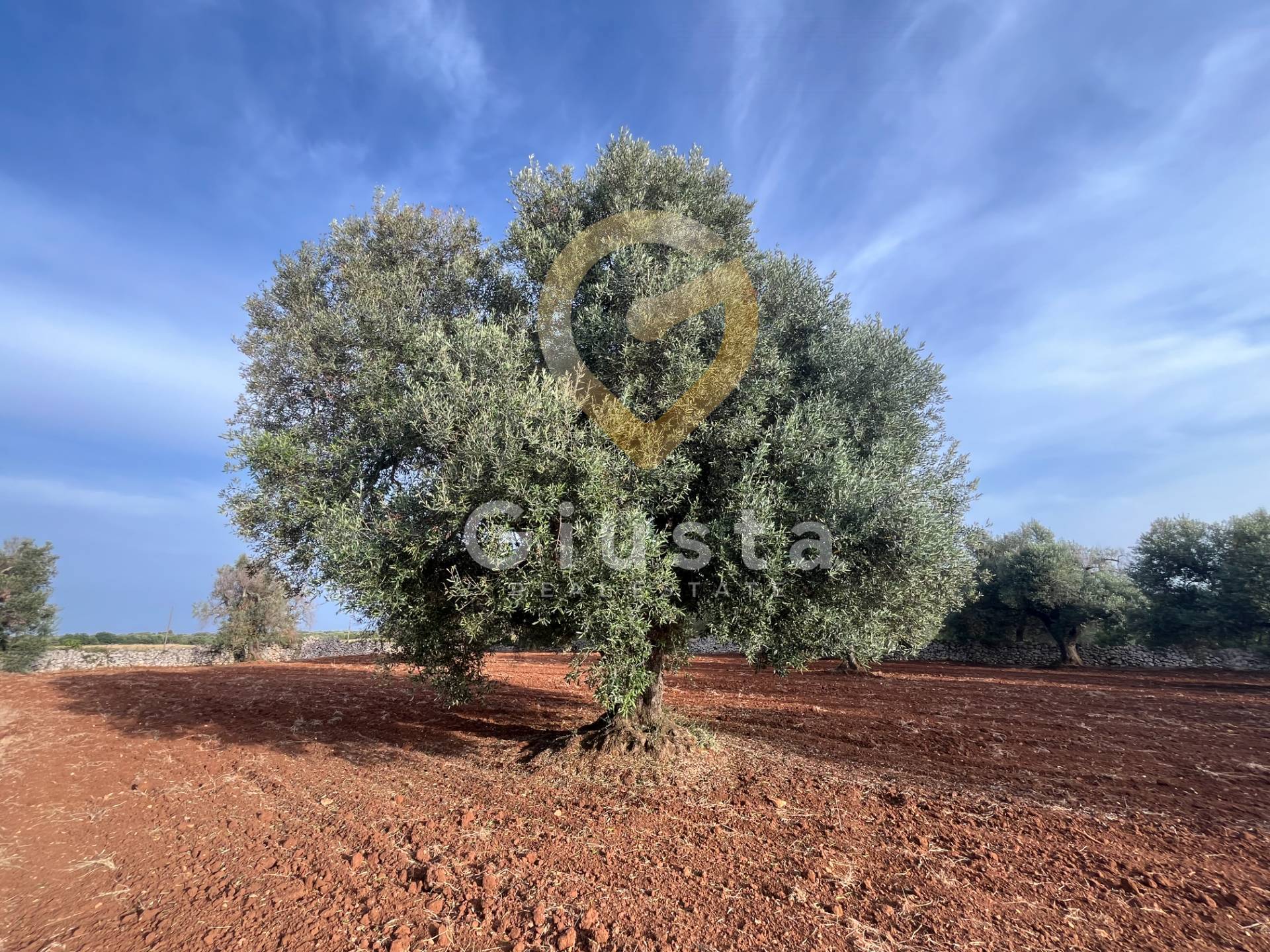 trullo in vendita a Ceglie Messapica